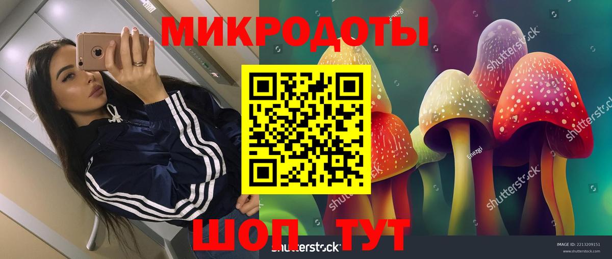 Псилоцибиновые грибы GOLDEN TEACHER  Вход с VPN  Нарткала 
